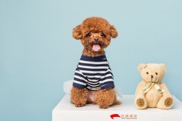 疫情期間香港商品如何轉(zhuǎn)運(yùn)到云南德宏呢？